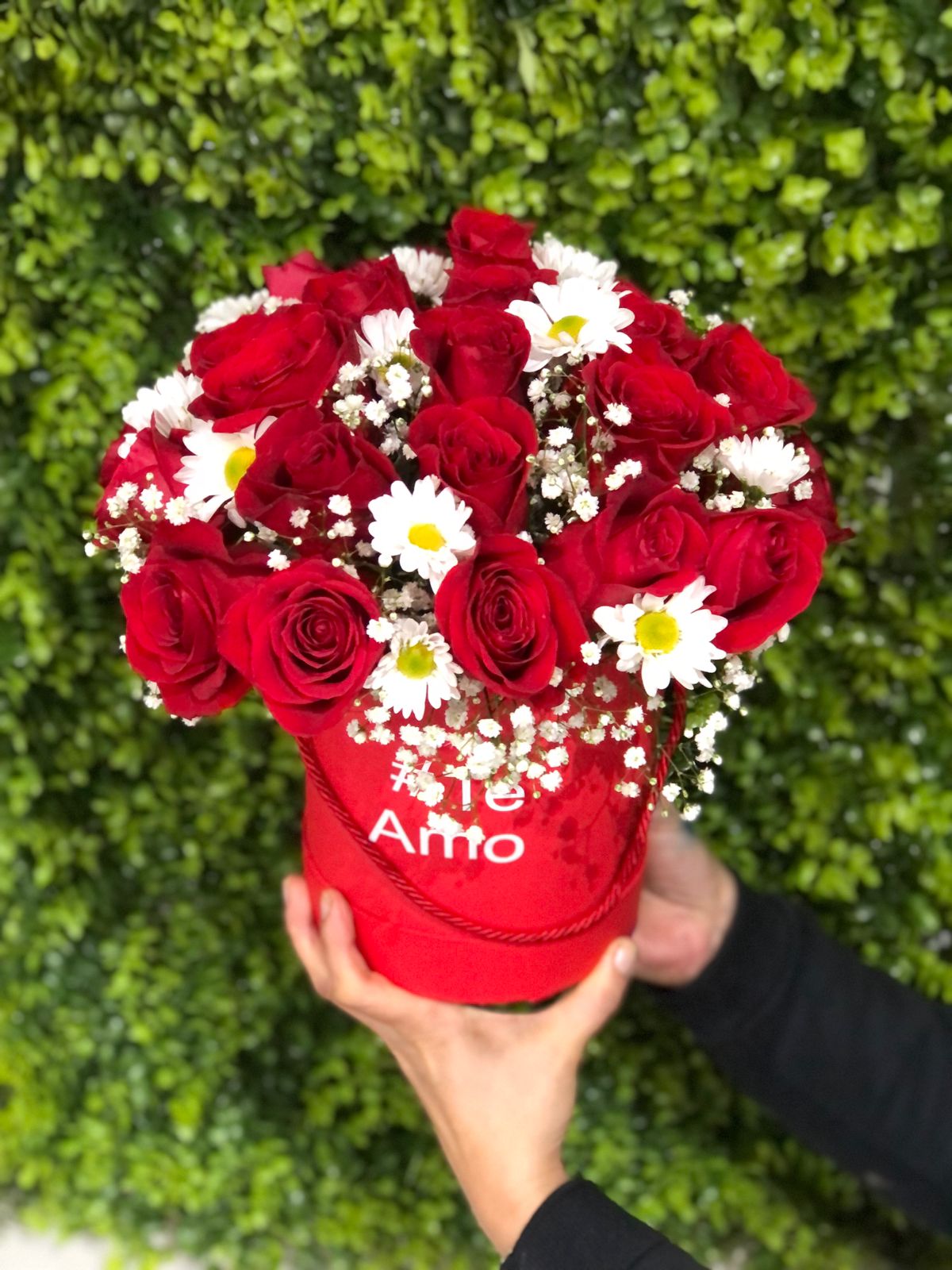 BOX JARDIM VERMELHO -